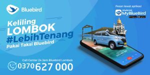 Blue Bird Taxi