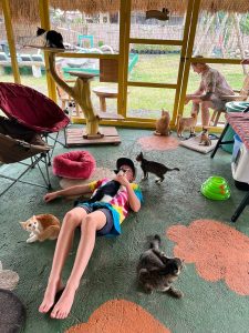 Naughty Little Cat Park